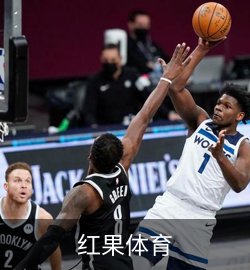 案例红果体育